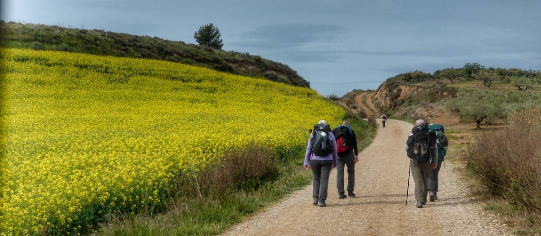 Pilgrims making their way to Roncesvalles |  <i>Gesine Cheung</i>