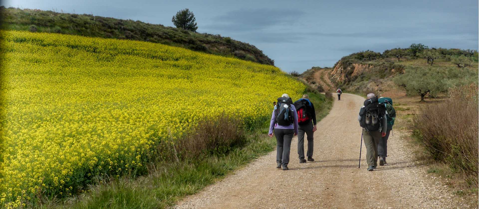 Pilgrims making their way to Roncesvalles | Gesine Cheung