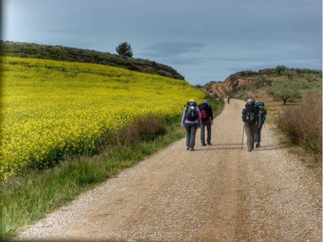 Pilgrims making their way to Roncesvalles |  <i>Gesine Cheung</i>