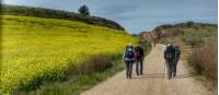 Pilgrims making their way to Roncesvalles |  <i>Gesine Cheung</i>