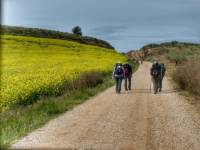 Pilgrims making their way to Roncesvalles |  <i>Gesine Cheung</i>