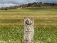 Trail marker on the Camino Frances in the Pyrenees |  <i>Gesine Cheung</i>