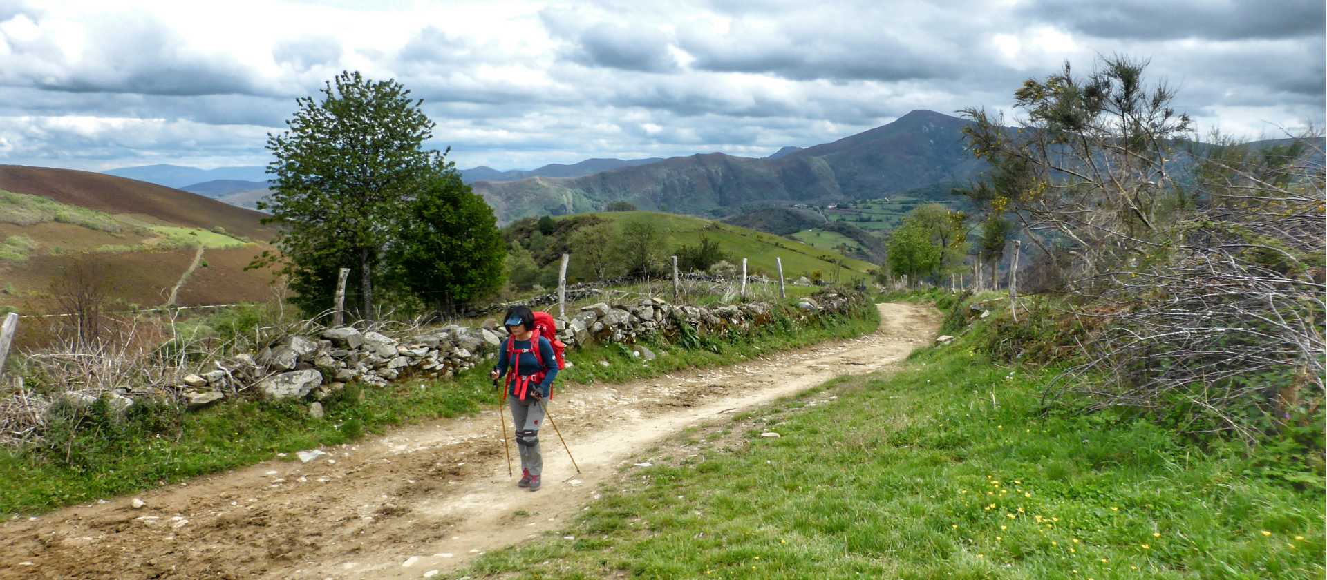 Hiker approaching O Cebreiro on the Camino Frances | Gesine Cheung