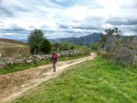 Hiker approaching O Cebreiro on the Camino Frances |  <i>Gesine Cheung</i>