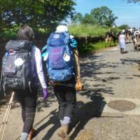 Pilgrims hiking through rural villages along the Camino Frances in Spain | Gesine Cheung