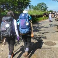 Pilgrims hiking through rural villages along the Camino Frances in Spain | Gesine Cheung