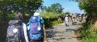 Pilgrims hiking through rural villages along the Camino Frances in Spain | Gesine Cheung