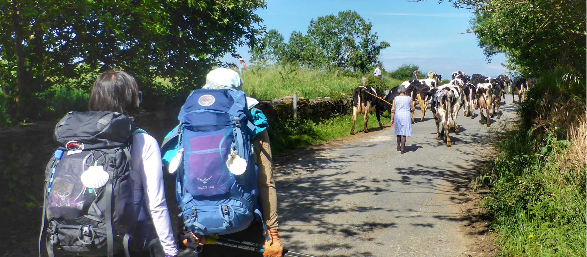 Pilgrims hiking through rural villages along the Camino Frances in Spain | Gesine Cheung