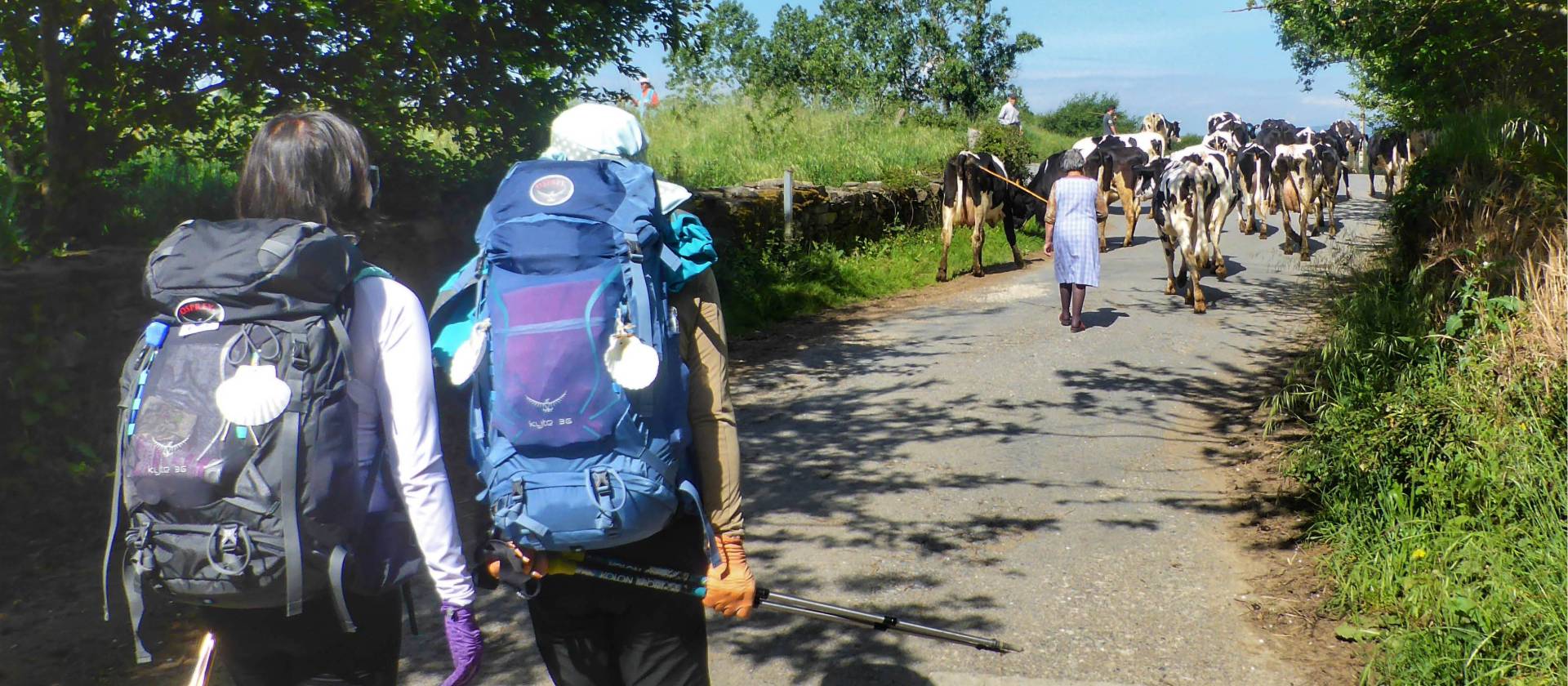 Pilgrims hiking through rural villages along the Camino Frances in Spain | Gesine Cheung
