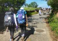 Pilgrims hiking through rural villages along the Camino Frances in Spain |  Gesine Cheung