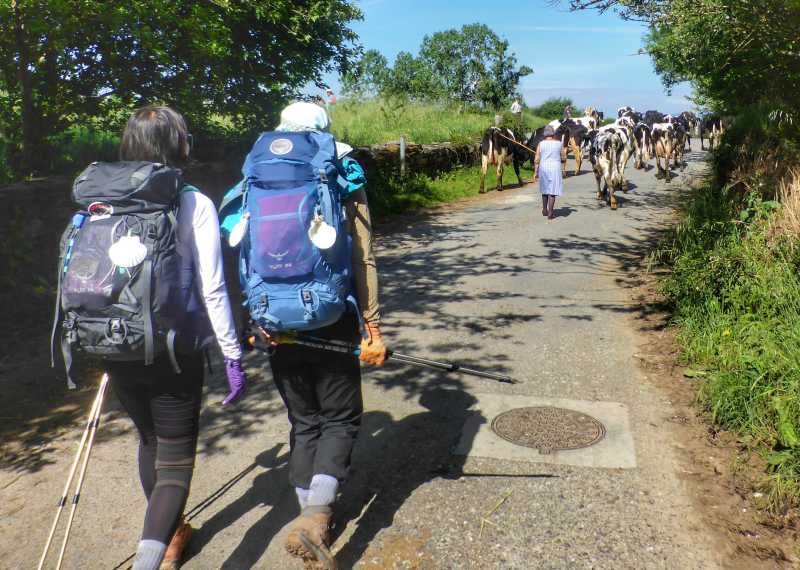 Pilgrims hiking through rural villages along the Camino Frances in Spain |  Gesine Cheung
