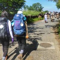 Pilgrims hiking through rural villages along the Camino Frances in Spain | Gesine Cheung