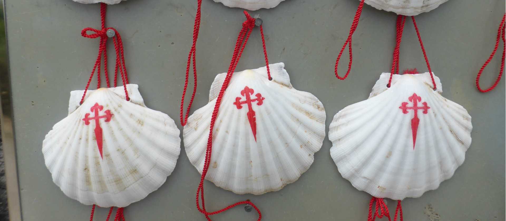 The scallop shell can be found all along the Camino | Gesine Cheung