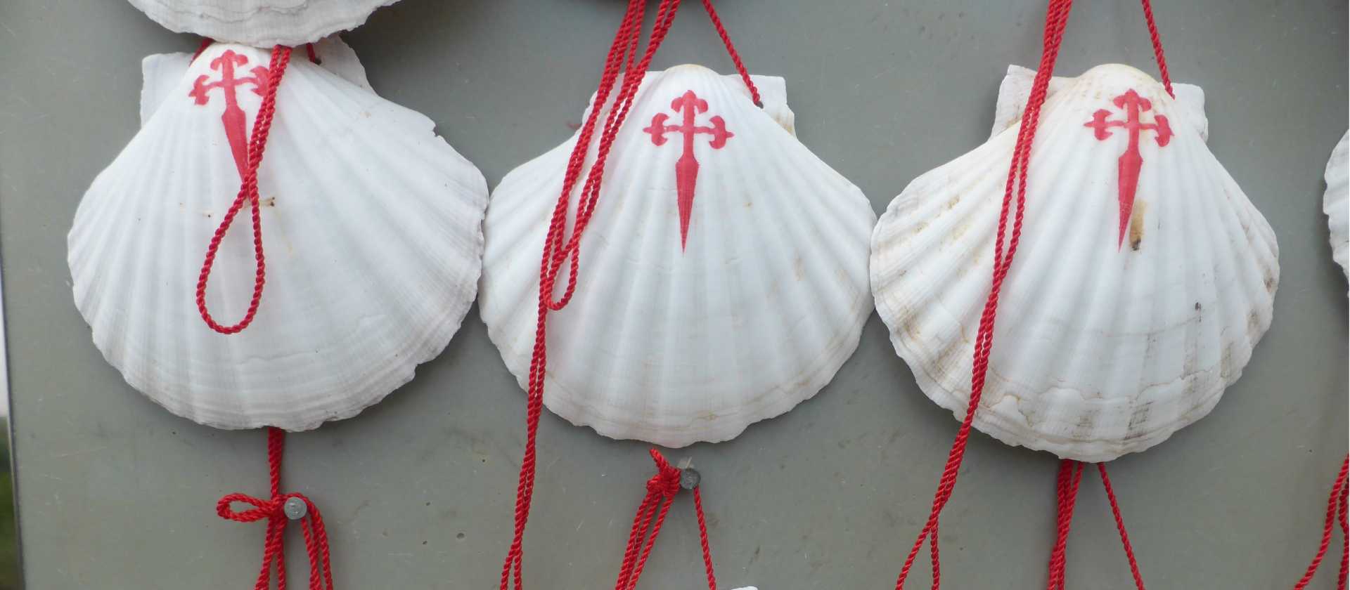 The scallop shell can be found all along the Camino | Gesine Cheung