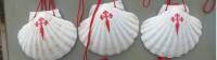 The scallop shell can be found all along the Camino |  <i>Gesine Cheung</i>