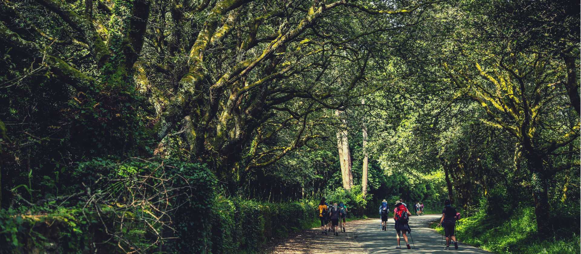 Walking along the Camino de Santiago trail in Galicia | @timcharody