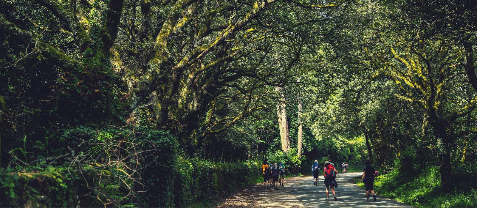 Walking along the Camino de Santiago trail in Galicia | @timcharody