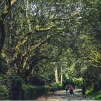 Walking along the Camino de Santiago trail in Galicia | @timcharody