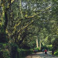 Walking along the Camino de Santiago trail in Galicia | @timcharody