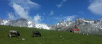 Picturesque countryside in the Picos de Europa