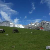 Picturesque countryside in the Picos de Europa