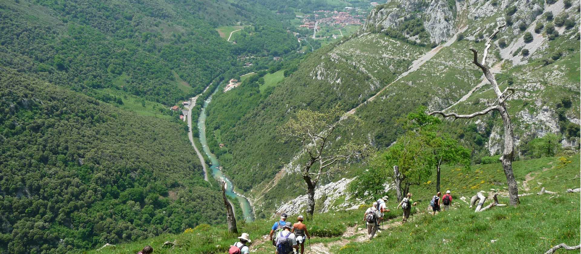 Heading down to the valley in the Picos de Europa