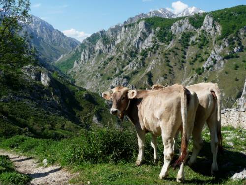 UTracks | Hiking in Spain's 'secret' Mountain Range