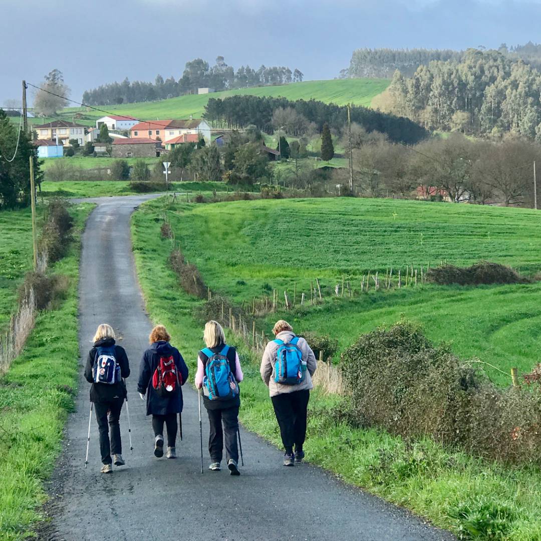 Pilgrims walking in green Galicia |  <i>Stephanie Dale</i>