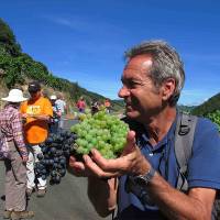 Andreas Holland, Food Lover's Spanish Camino escort, walking with group in Galicia Spain |  <i>Andreas Holland</i>