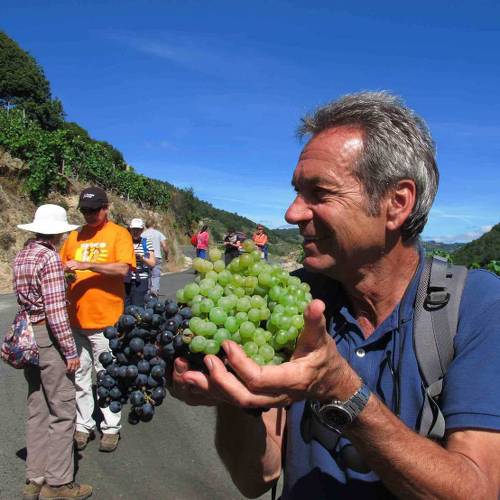 spanish pilgrimage walking tours camino de santiago