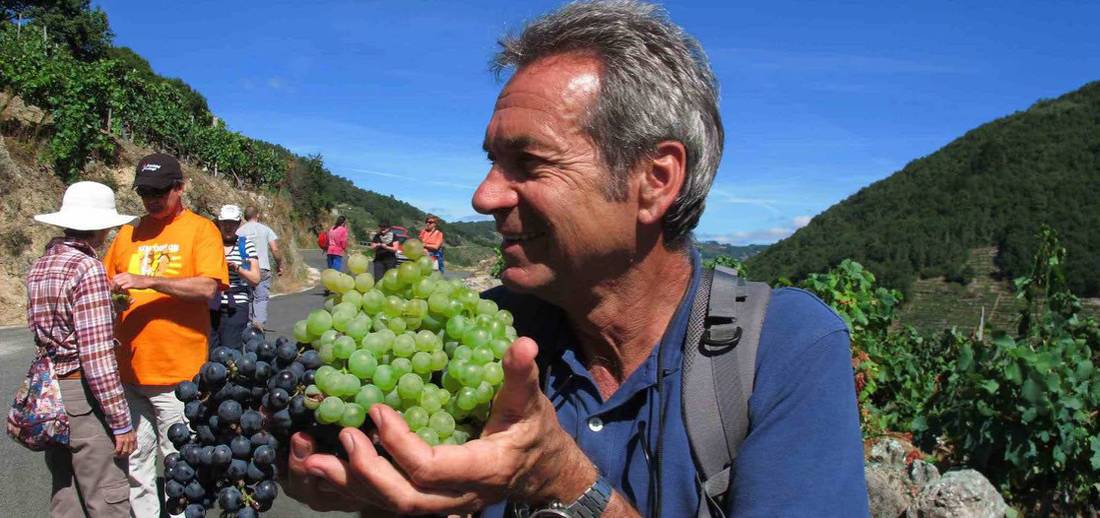 Andreas Holland, Food Lover's Spanish Camino escort, walking with group in Galicia Spain |  <i>Andreas Holland</i>