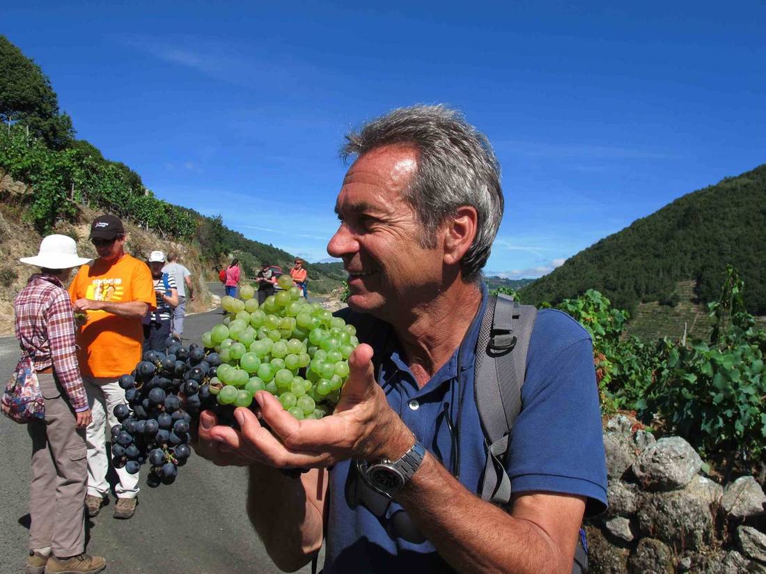 Andreas Holland, Food Lover's Spanish Camino escort, walking with group in Galicia Spain | <i>Andreas Holland</i>