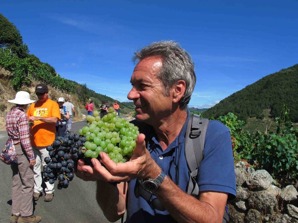 Andreas Holland, Food Lover's Spanish Camino escort, walking with group in Galicia Spain |  <i>Andreas Holland</i>