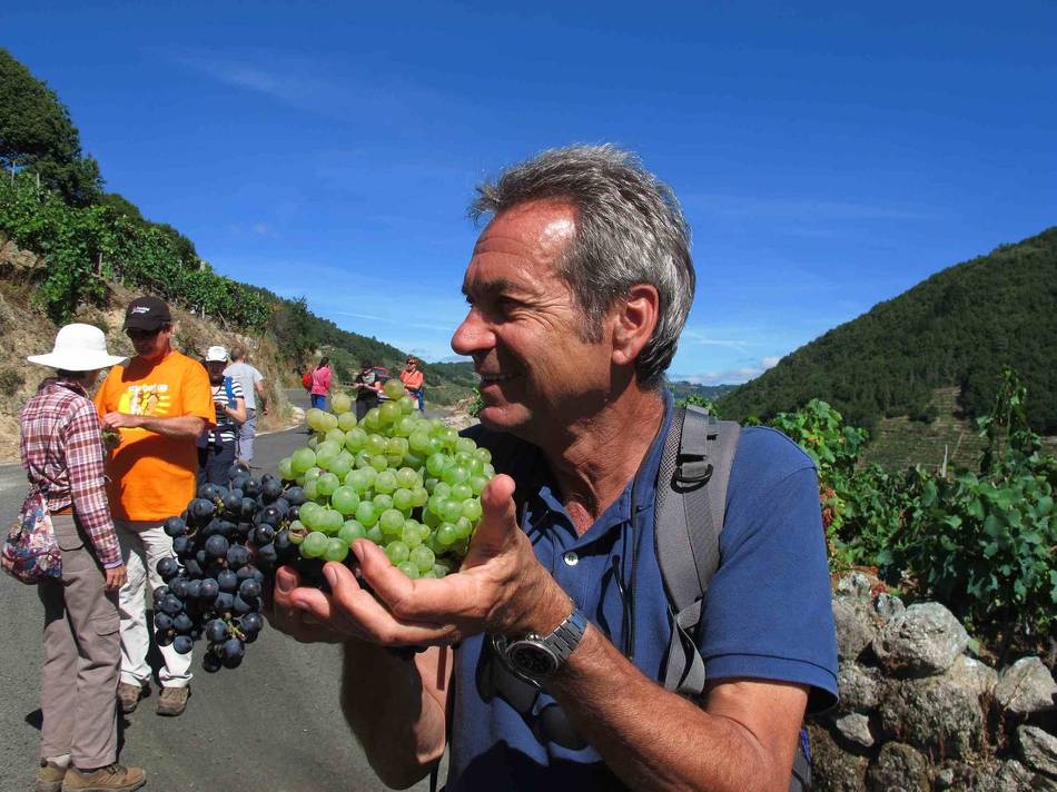 Andreas Holland, Food Lover's Spanish Camino escort, walking with group in Galicia Spain |  <i>Andreas Holland</i>