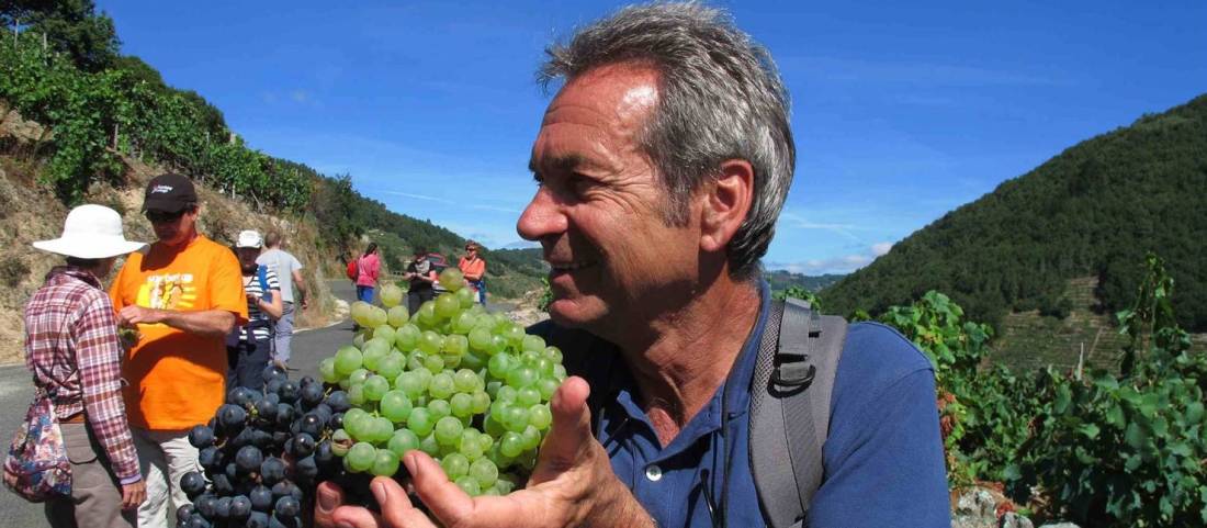 Andreas Holland, Food Lover's Spanish Camino escort, walking with group in Galicia Spain |  <i>Andreas Holland</i>