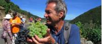 Andreas Holland, Food Lover's Spanish Camino escort, walking with group in Galicia Spain |  <i>Andreas Holland</i>