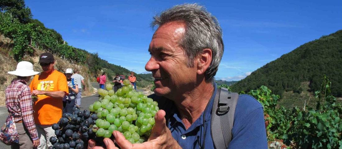 Andreas Holland, Food Lover's Spanish Camino escort, walking with group in Galicia Spain |  <i>Andreas Holland</i>