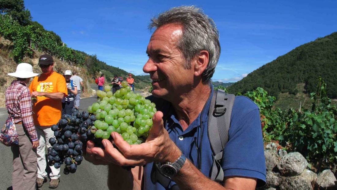 Andreas Holland, Food Lover's Spanish Camino escort, walking with group in Galicia Spain |  <i>Andreas Holland</i>