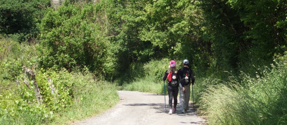Pilgrims on the Camino |  <i>Dana Garofani</i>