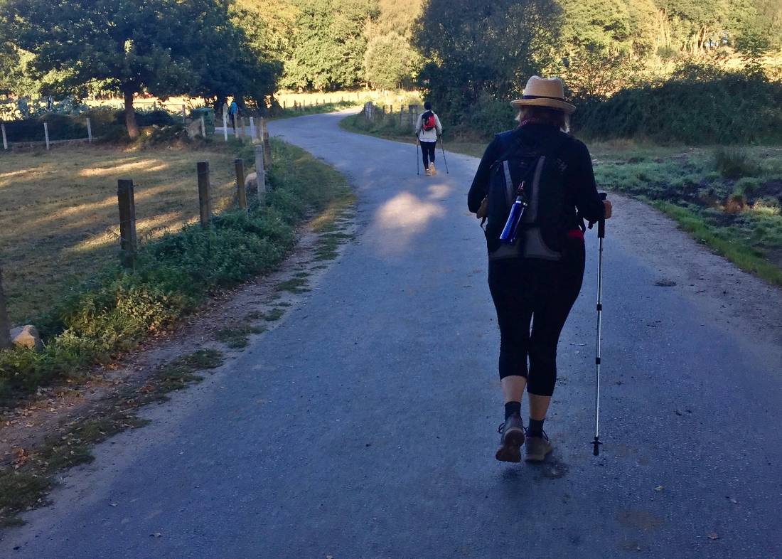 Pilgrims walking the Camino in Spain |  <i>Sue Finn</i>