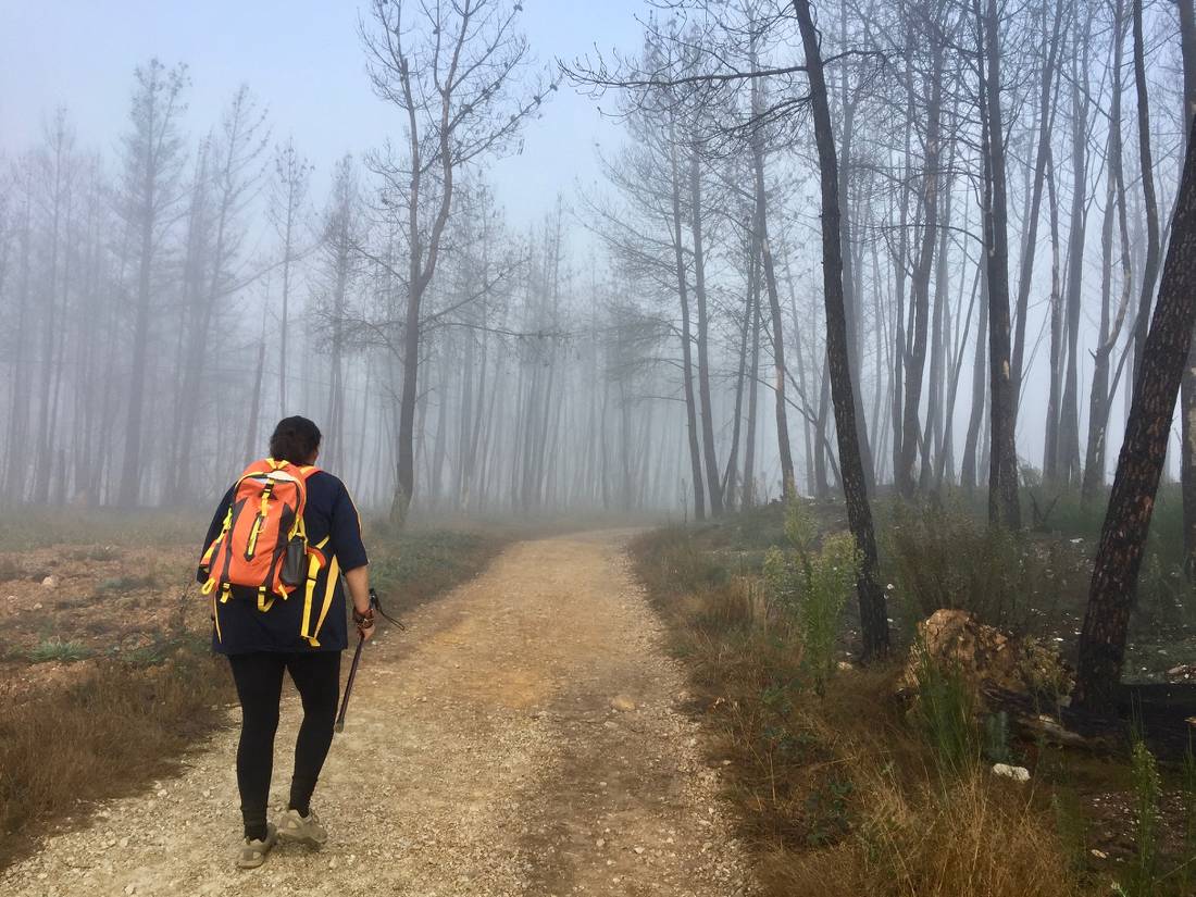 Pilgrims walking the Camino in Spain |  <i>Sue Finn</i>