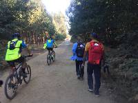 Pilgrims walking the Camino in Spain | <i>Sue Finn</i>