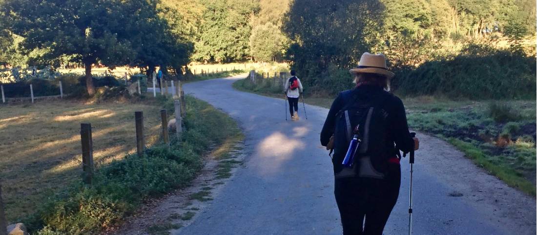 Pilgrims walking the Camino in Spain |  <i>Sue Finn</i>