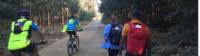 Pilgrims walking the Camino in Spain |  <i>Sue Finn</i>