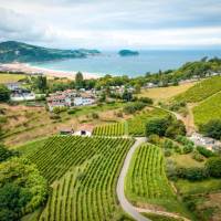 Exploring the Camino Norte in Spain | Tim Charody