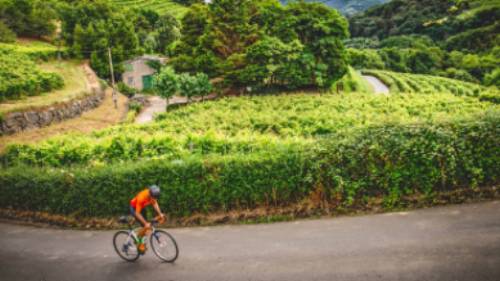 Cycling the Camino Norte in Spain | Tim Charody