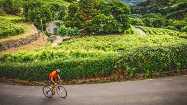 Cycling the Camino Norte in Spain | Tim Charody