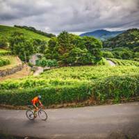 Cycling the Camino Norte in Spain | Tim Charody