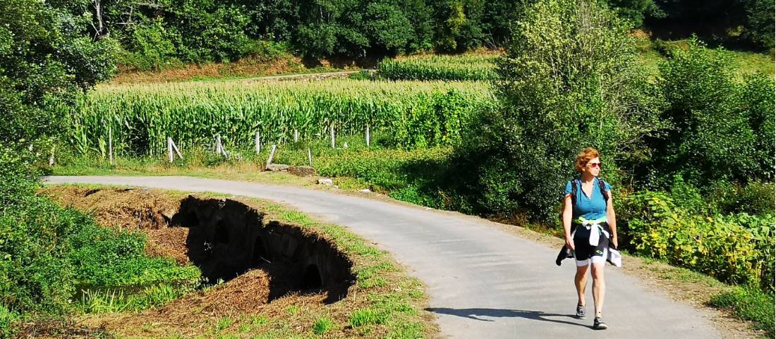 Idyllic walking along the Camino Sanabres in Spain