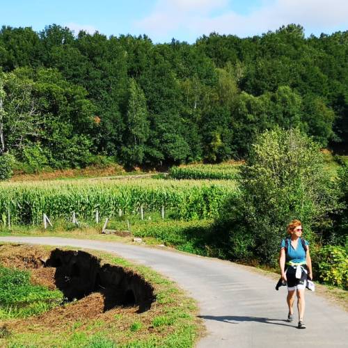Idyllic walking along the Camino Sanabres in Spain
